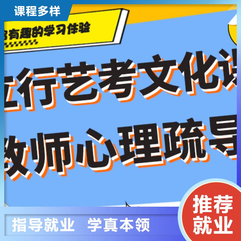 艺术生文化课培训机构排行艺考生文化课专用教材课程多样