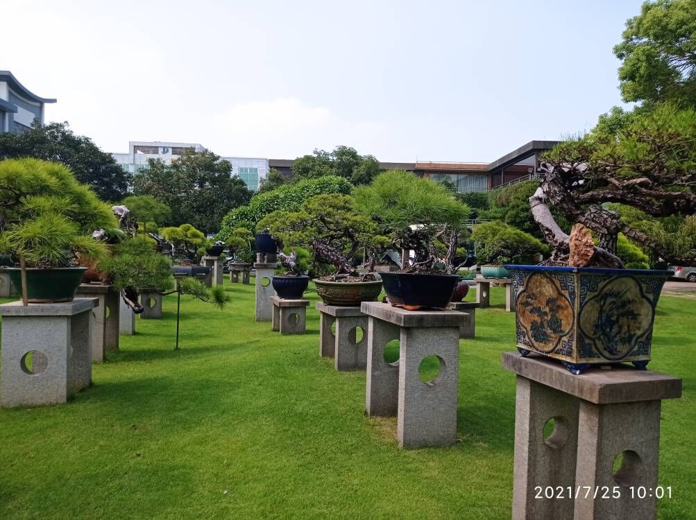 油田钻井油泥固化剂沙土固化剂价格优