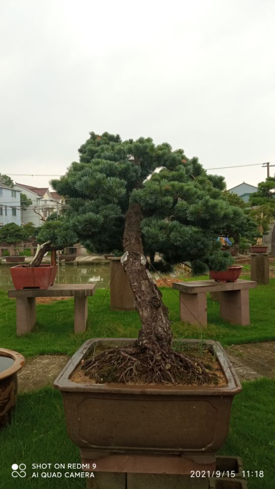 场地硬化土壤固化土壤固化剂学校