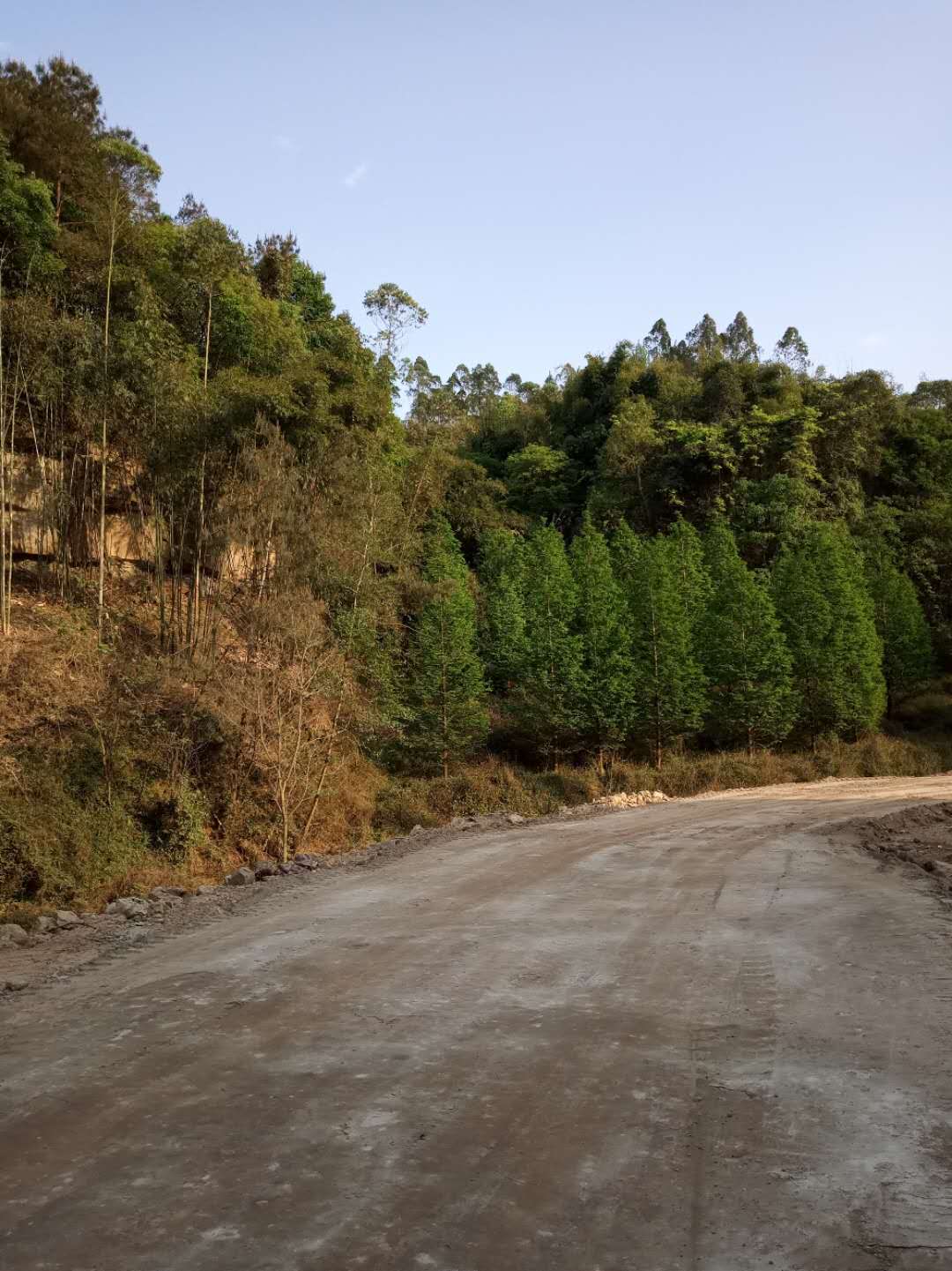 淤泥原位土壤固化土壤固化剂终身质保